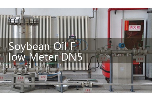 Soybean Oil Flow Meter DN50: Preventing Pressure Drops in Processing Skids